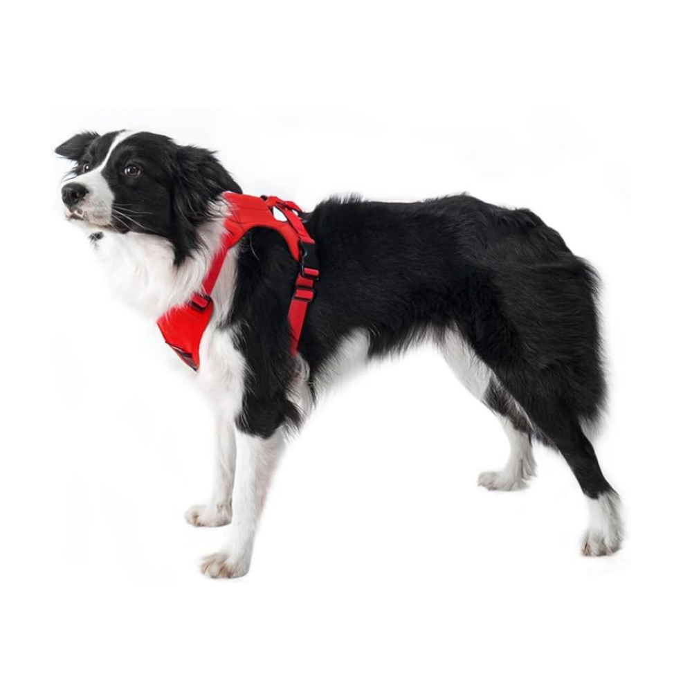 PawFlex™ Control