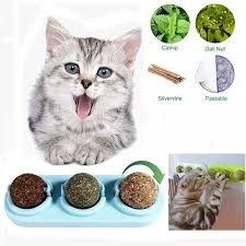 Catnip MagicBall™