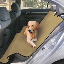 ShieldPaws™
