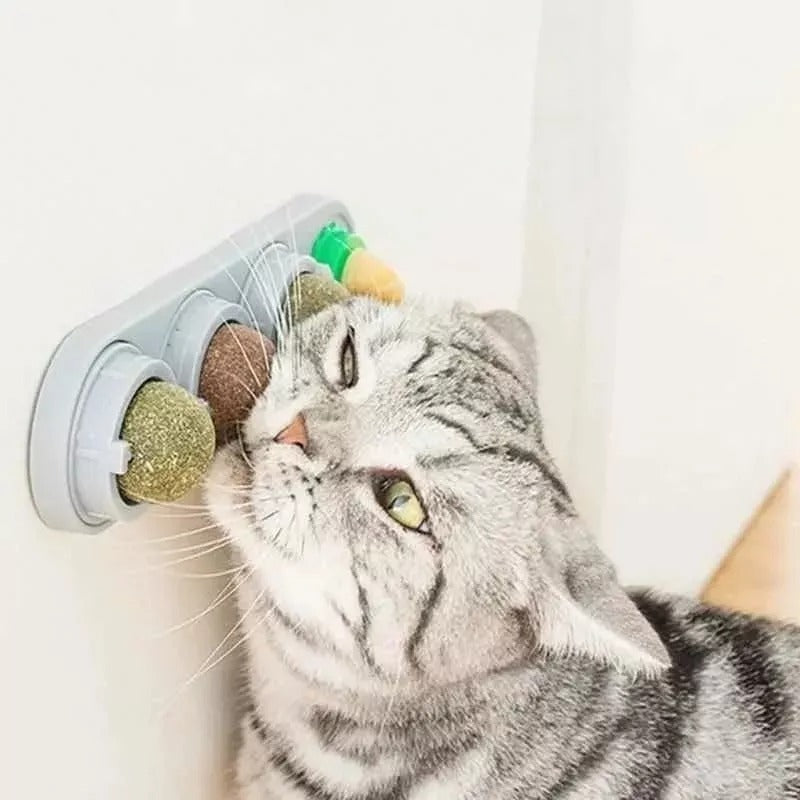 Catnip MagicBall™