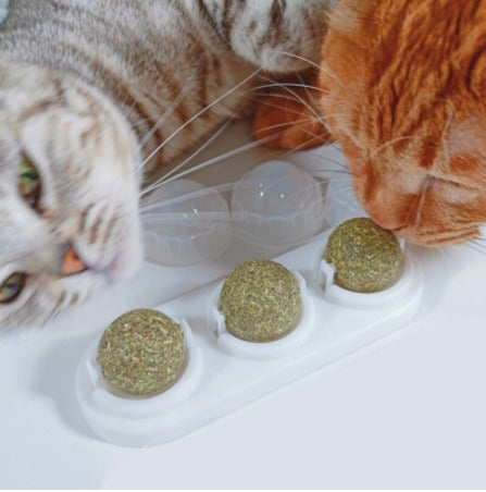 Catnip MagicBall™