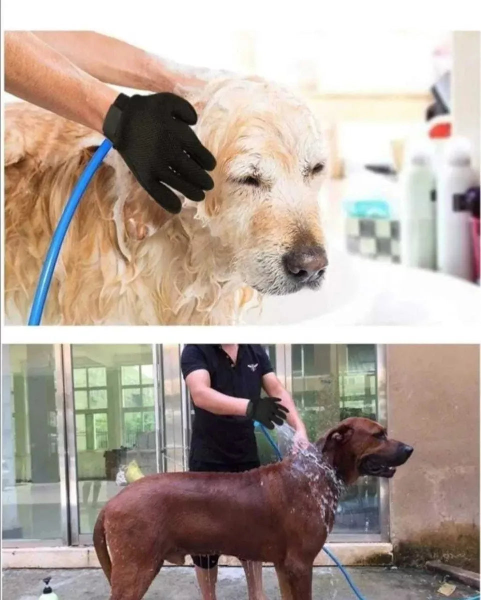 HydroPaw Wash™