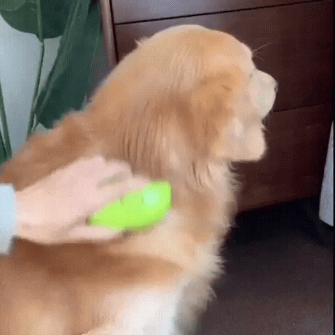 SteamGroom™