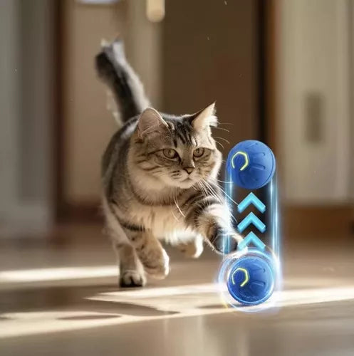 PawsPlay™